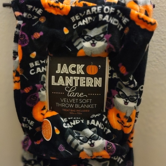 HALLOWEEN Raccoon Throw Blanket TREAT BAG included - Picture 2 of 7